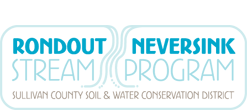 Rondout Neversink Stream Program
